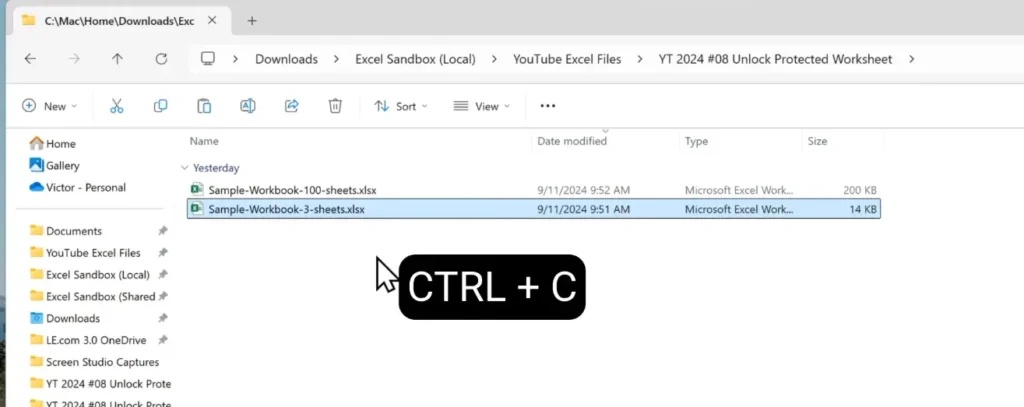 Copying a password protected Excel worksheet file using Ctrl C in Windows.
