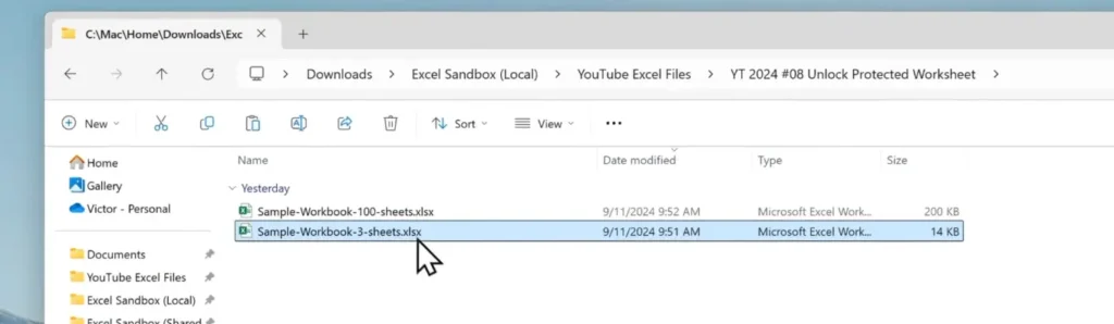 Selected password protected worksheet file in Microsoft Excel.