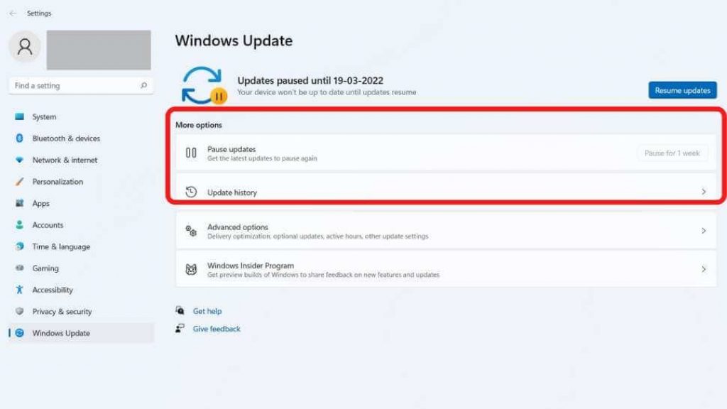 Check for Windows Updates