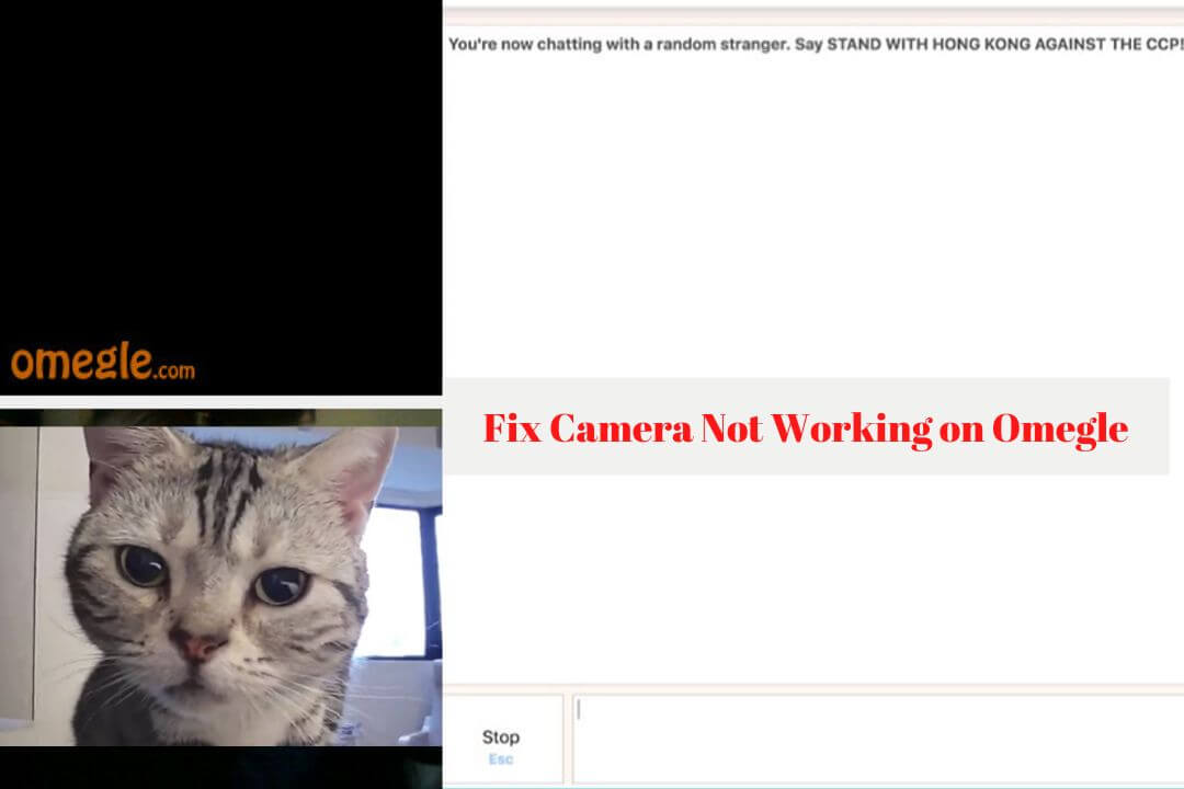 How to solve Camera Not Working on Omegle