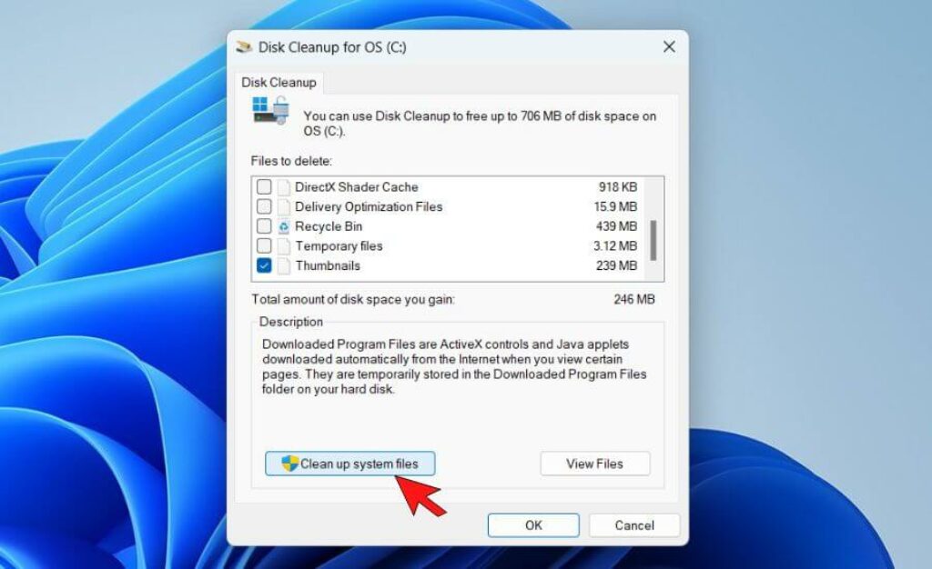 Disk Cleanup settings clean up system files
