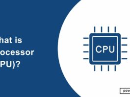What is Processor