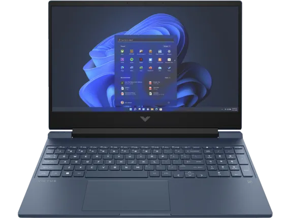 HP Victus 15 Ports