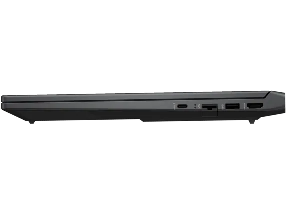 HP Victus 15 Ports