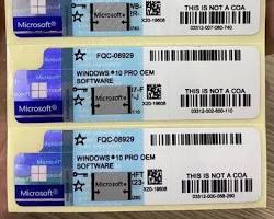 Windows OS Sticker, Label, Card
