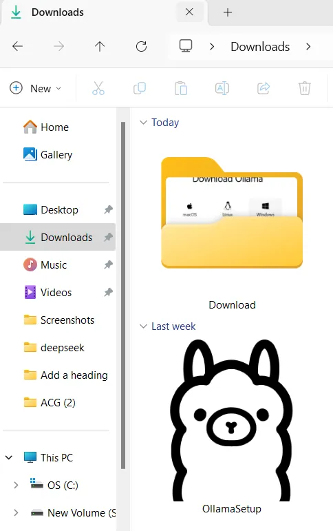  ollama Downloads folder